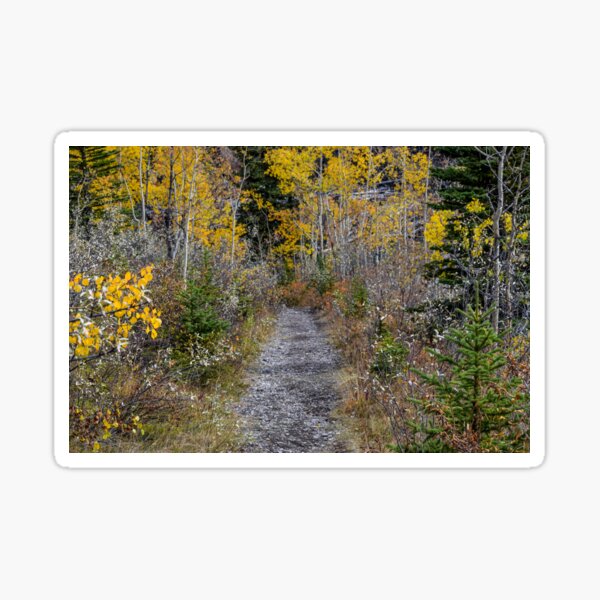 Item preview, A Trail. designed and sold by CanadianWild418.