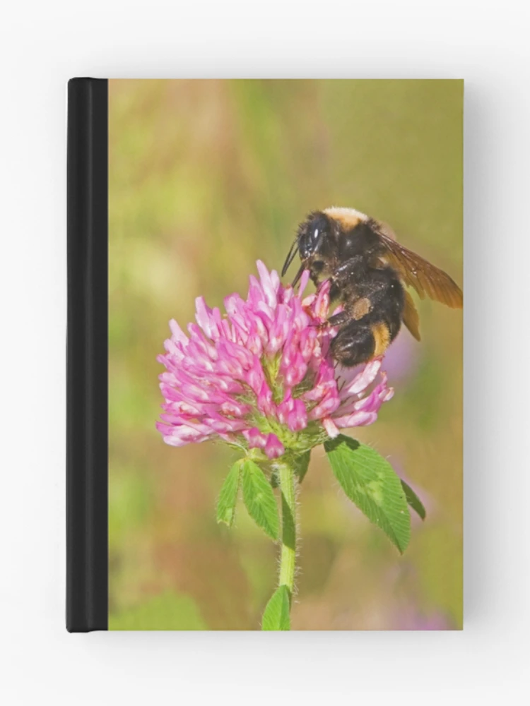 Thumbnail 1 of 3, Journal, Bumble Bee designed and sold by Randall Ingalls.