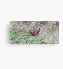 On The Pull Metal Print