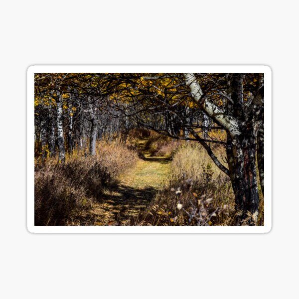 Item preview, Fall Hike. designed and sold by CanadianWild418.