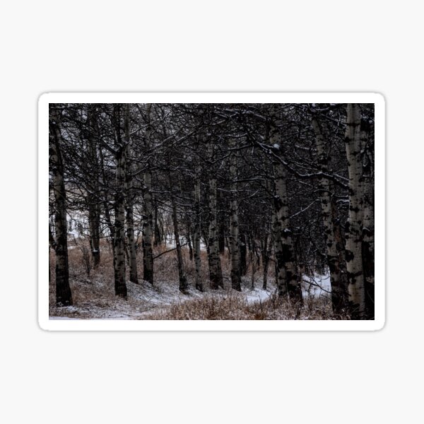 Item preview, Dark Woods. designed and sold by CanadianWild418.