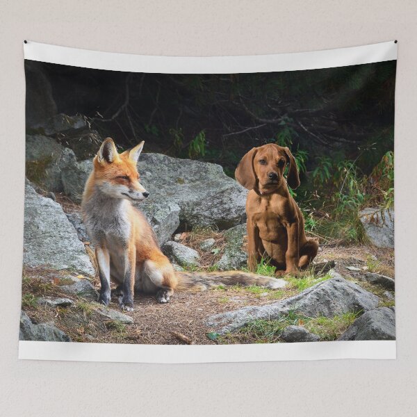 Item preview, 2nd version fox and the hound designed and sold by Sillygirl101.