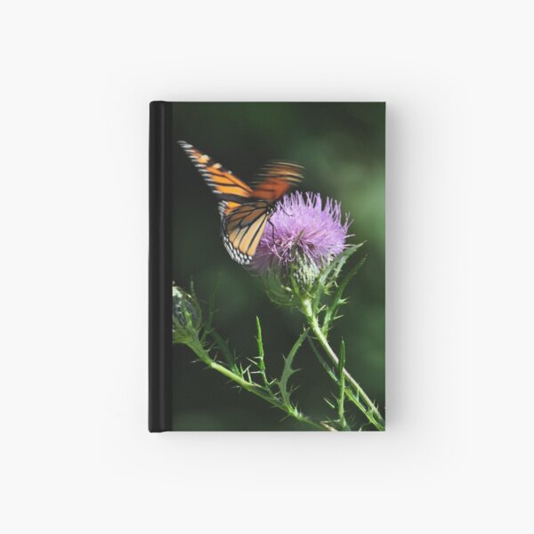 Item preview, Monarch flutter designed and sold by mltrue.