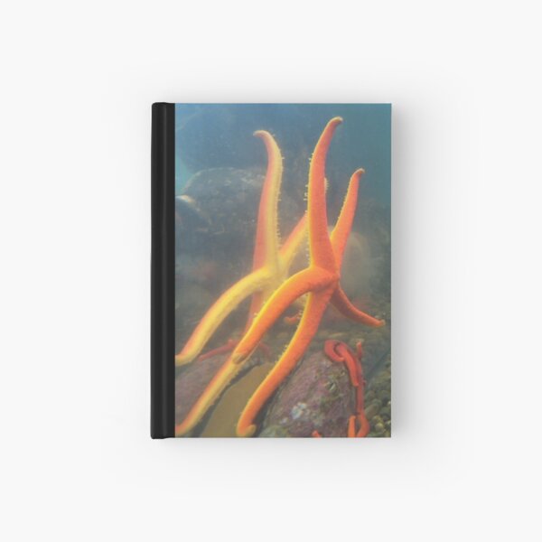 Sychronized Swimming Hardcover Journal