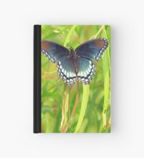 Red-Spotted Purple Admiral Hardcover Journal