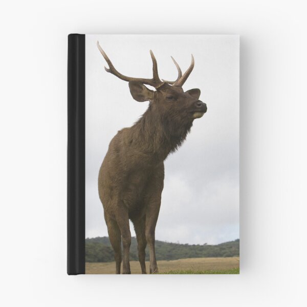 Item preview, Sambar Stag designed and sold by Neil Bygrave (NATURELENS).