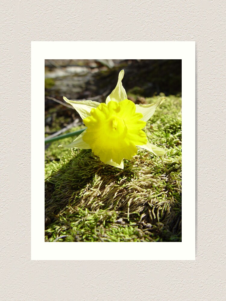 Thumbnail 1 von 3, Kunstdruck, Spring Hints designt und verkauft von RealPainter.
