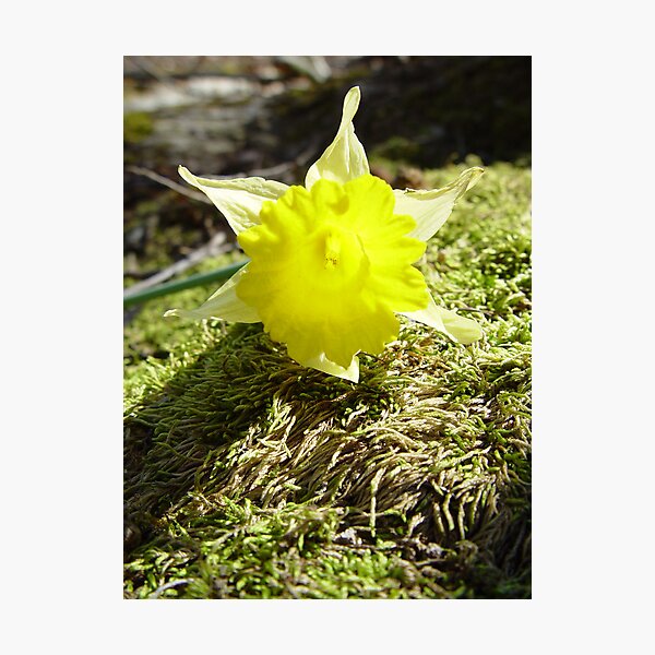 Item preview, Spring Hints designed and sold by RealPainter.