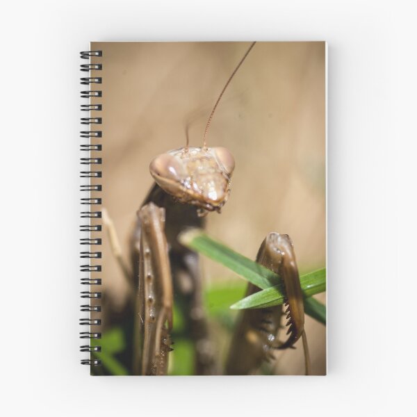 Item preview, praying mantis grabbing grass designed and sold by Sillygirl101.