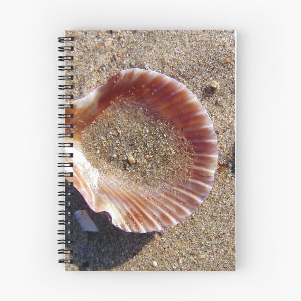 Item preview, shell designed and sold by KathleenDawson.