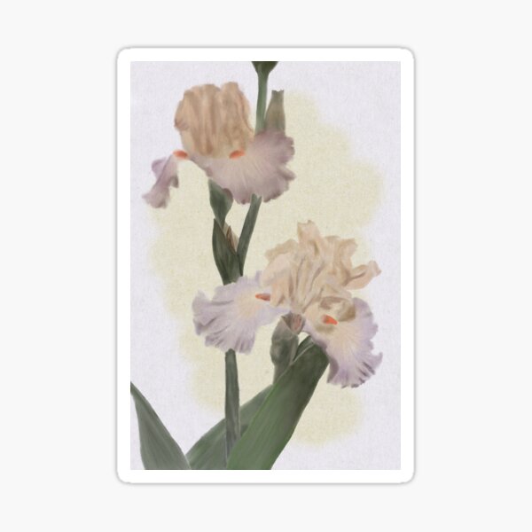 Irises In Sunshine Sticker