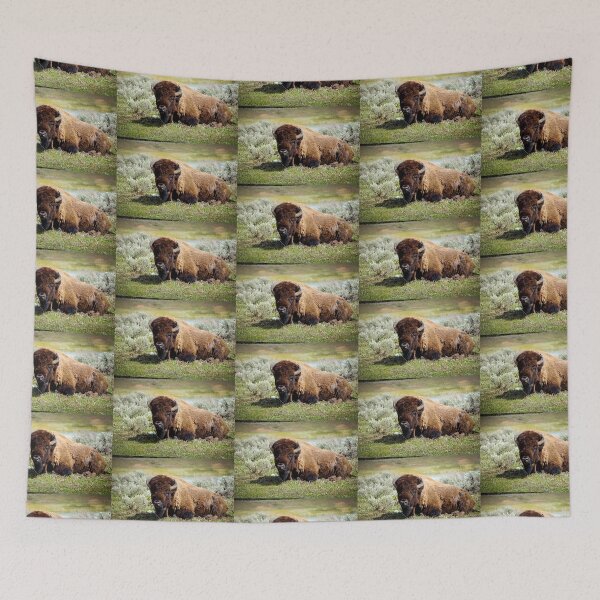 Item preview, buffalo resting designed and sold by Sillygirl101.