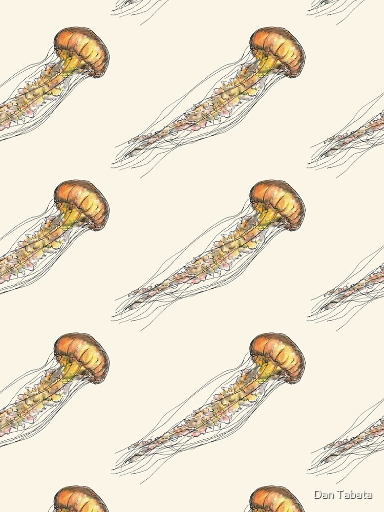 Jellyfish by dmtab