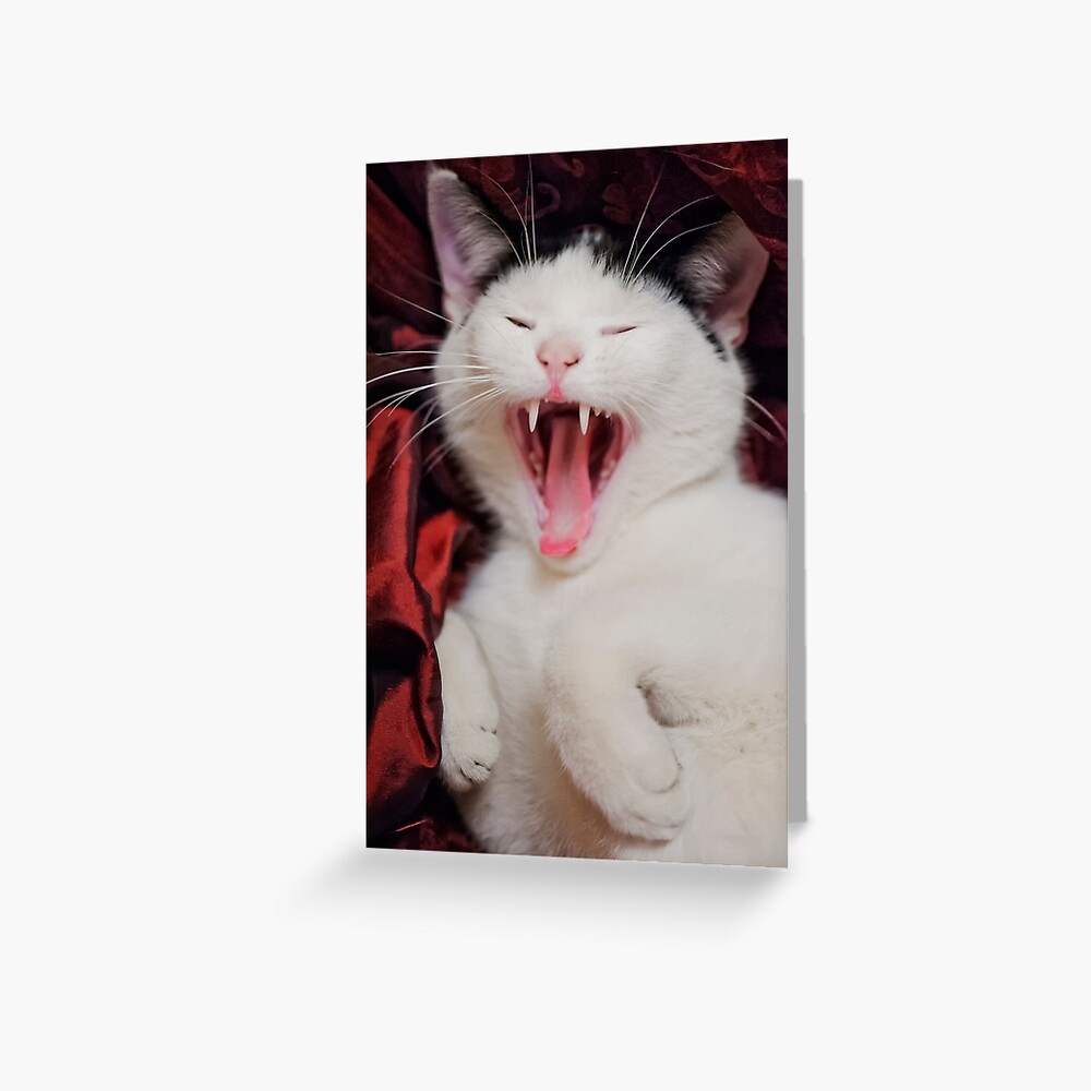 Yaaawn Greeting Card
