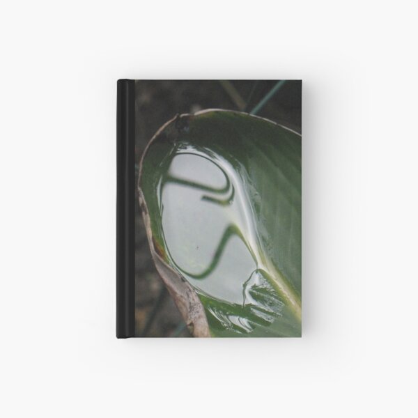 Close Encounters of Which Kind? Hardcover Journal