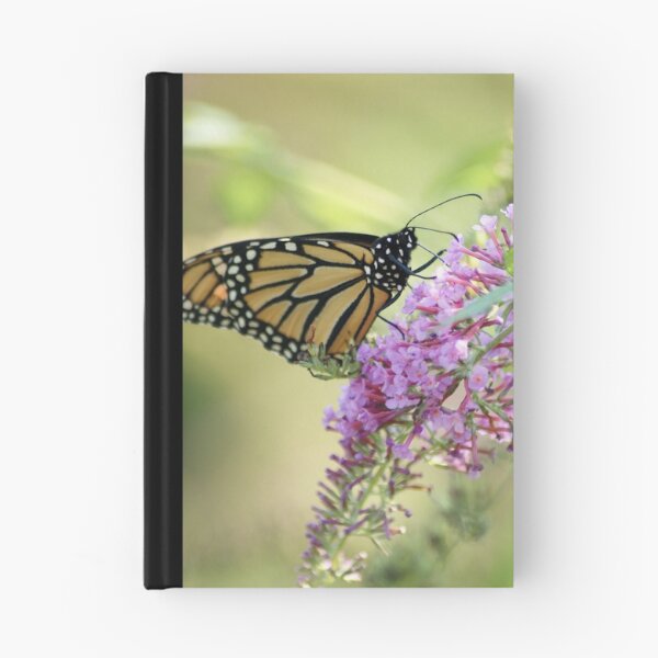 Item preview, Monarch on Pink designed and sold by crystalventerseye.