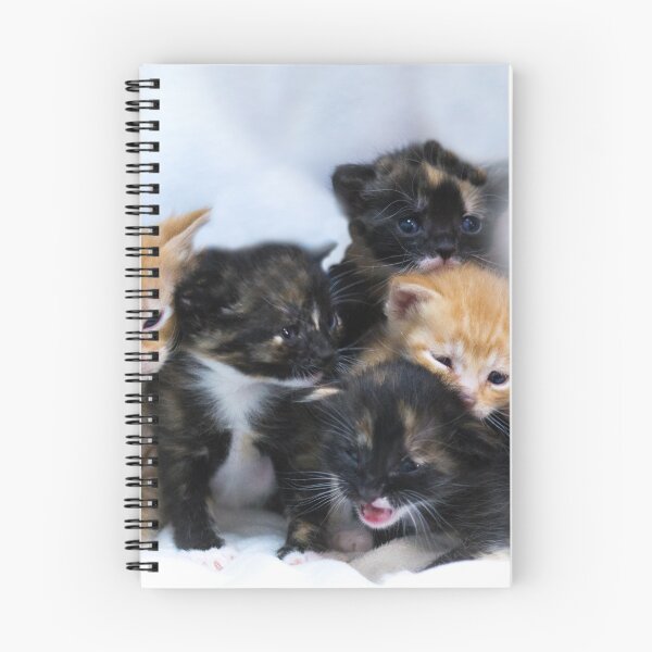 Item preview, set of adorable five kittens designed and sold by Sillygirl101.