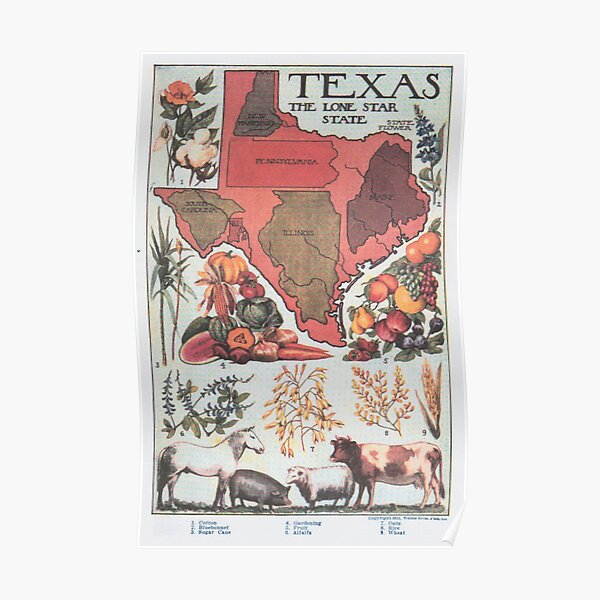 Vintage Texas Agricultural Map (1922) Poster