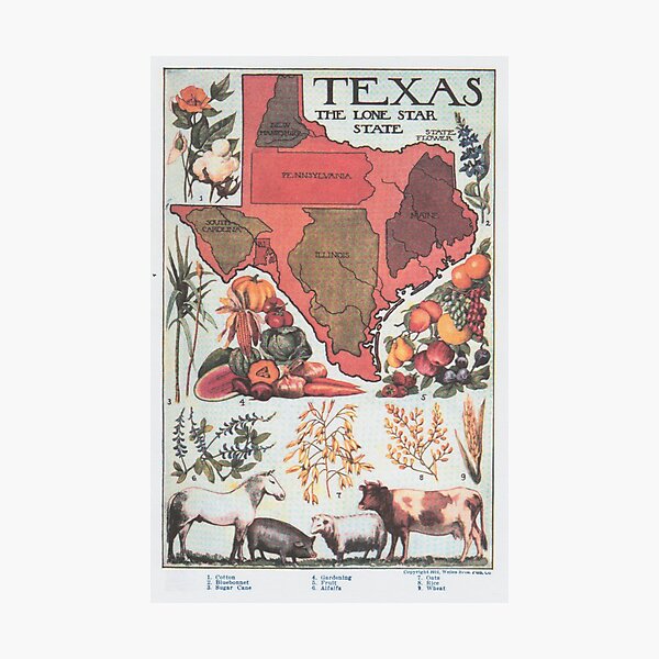 Item preview, Vintage Texas Agricultural Map (1922) designed and sold by BravuraMedia.