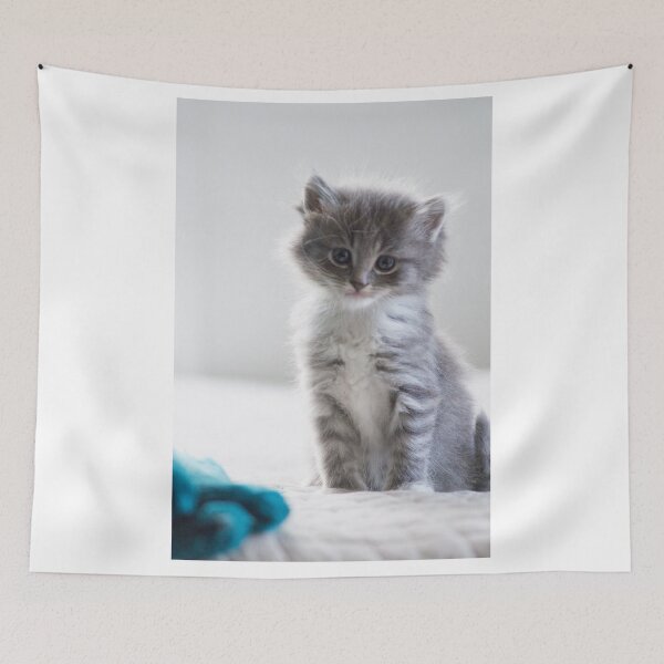 Item preview, sweet little grey and white kitten designed and sold by Sillygirl101.