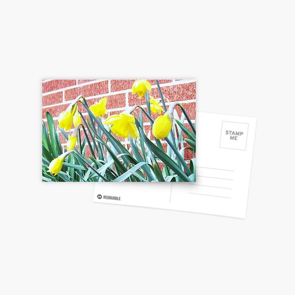 Heads Bowed in Prayer Postcard