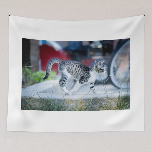 Item preview, adorable kitten walking designed and sold by Sillygirl101.