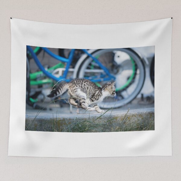 Item preview, super cute kitten running designed and sold by Sillygirl101.
