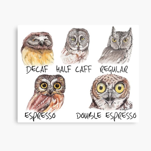 Aperçu de l'œuvre Balance de caféine Owl - drôles de chouettes créée et vendue par HollySimental.