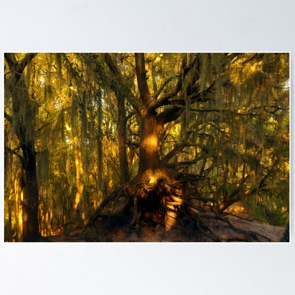 Item preview, Sacred hills designed and sold by David Lee Thompson.