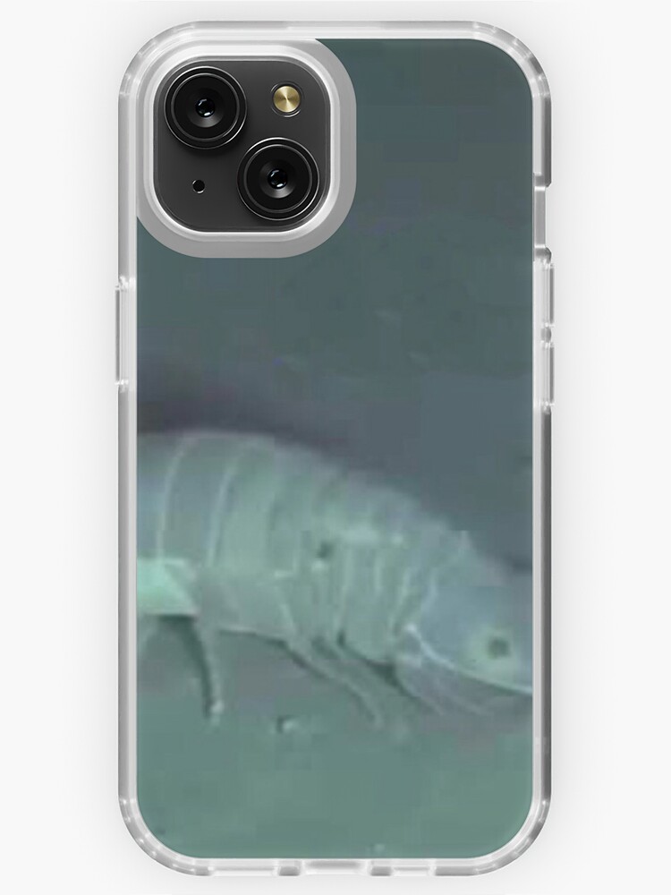 isopod