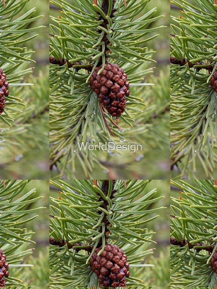 Thumbnail 3 of 3, Scarf, Pine Cone designed and sold by WorldDesign.