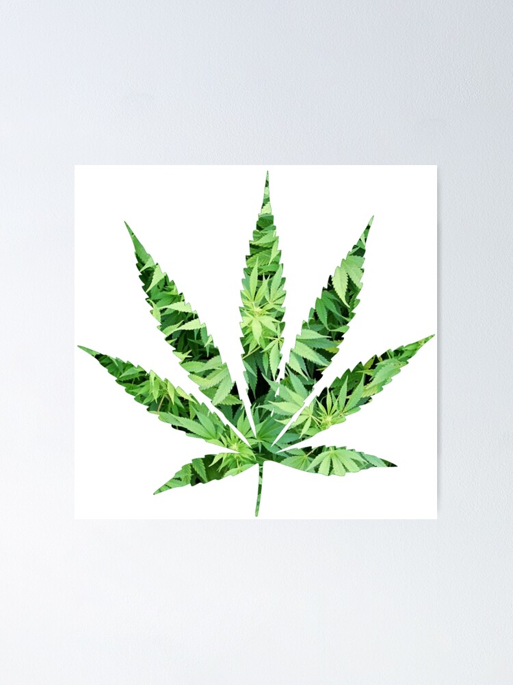 "Pot Leaf with Weed Plant Background" Poster by nbagniefski | Redbubble