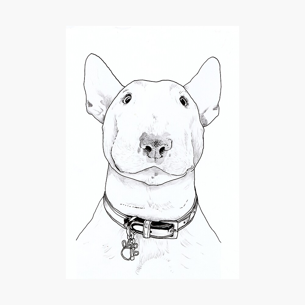 English Bull Terrier Illustration Poster By Chloenicart Redbubble