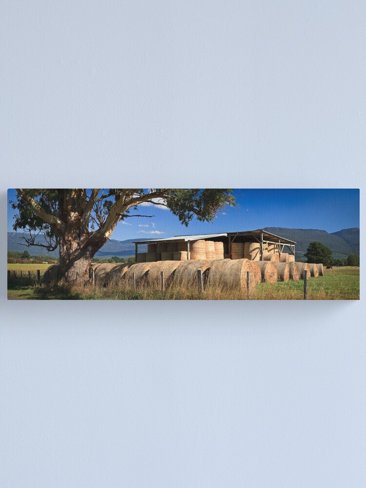 Alternate view of Summer Hay-Tasmania Canvas Print