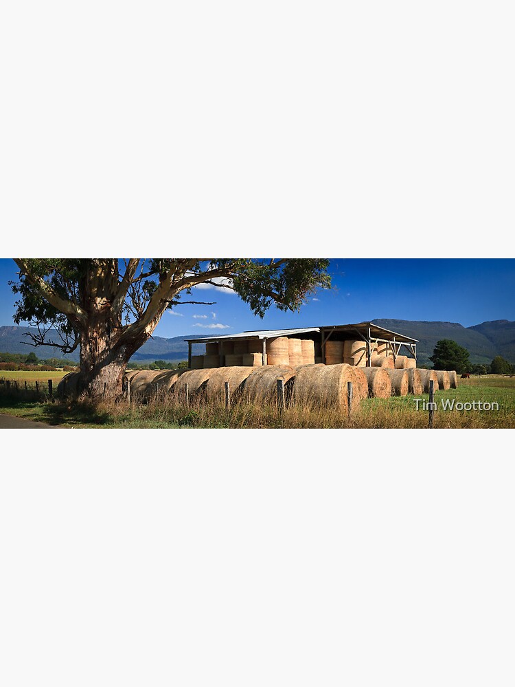 Summer Hay-Tasmania by wootton60