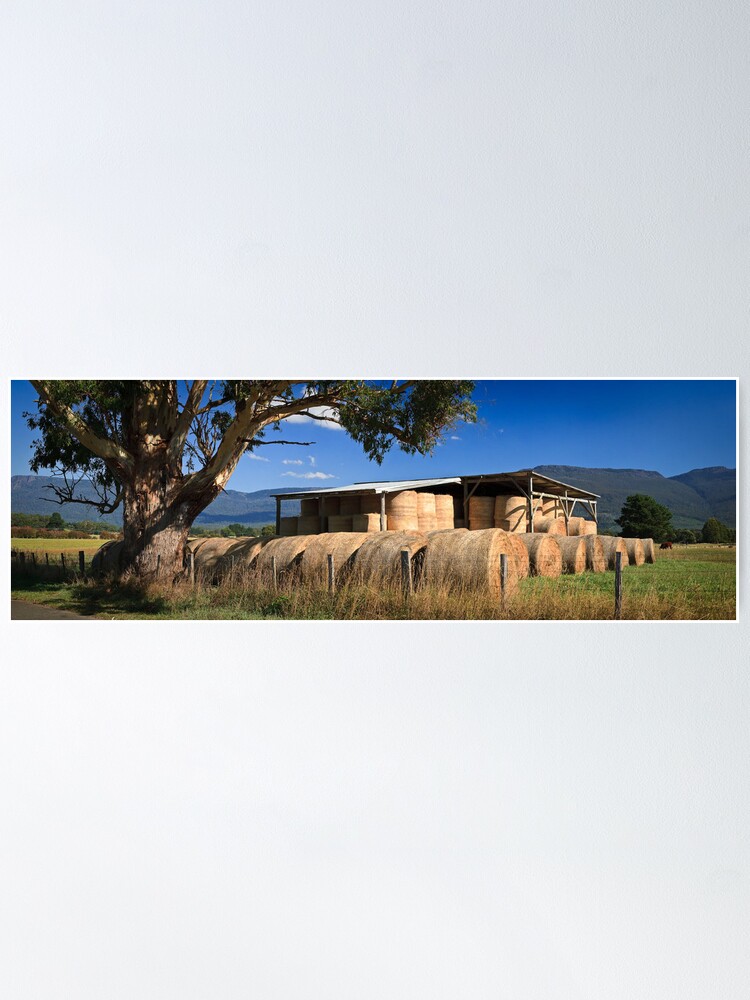 Alternate view of Summer Hay-Tasmania Poster