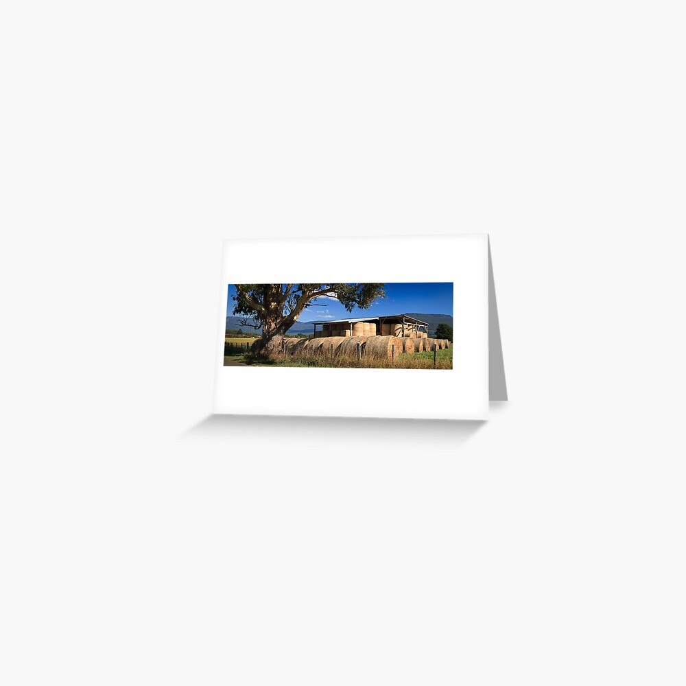 Summer Hay-Tasmania Greeting Card