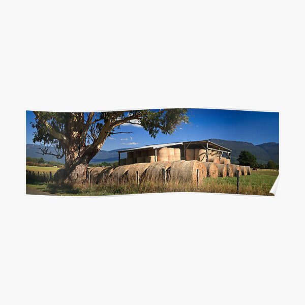 Summer Hay-Tasmania Poster