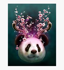 PANDA HORNS UP Photographic Print