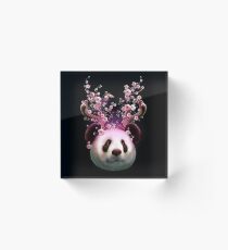 PANDA GEHÖRT AUF Acrylblock