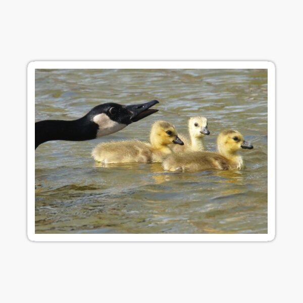 Mom And Babies Sticker