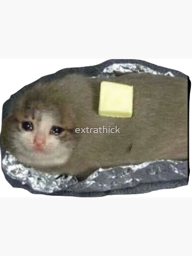 sad potato cat