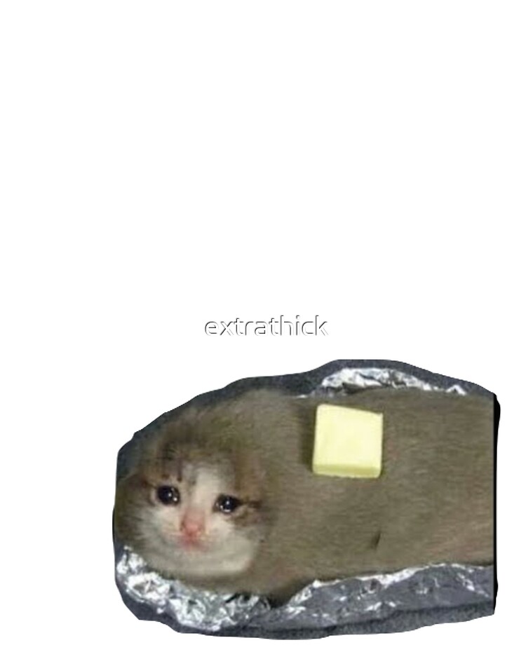 baked potato cat