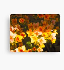 Goldust Flowers Canvas Print