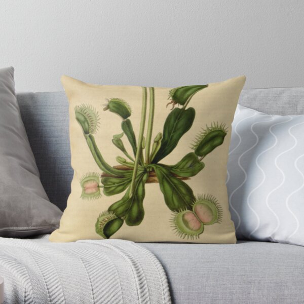 gossip rag Venus Flytrap Love Fly Trap Heart Throw Pillow Multicolor 16x16 gossip rag Venus Flytrap Love Fly Trap Heart Throw Pillow Multicolor 16x16