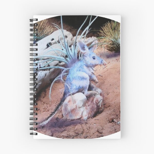 Item preview, Easter Bilby designed and sold by Lyn Walker.