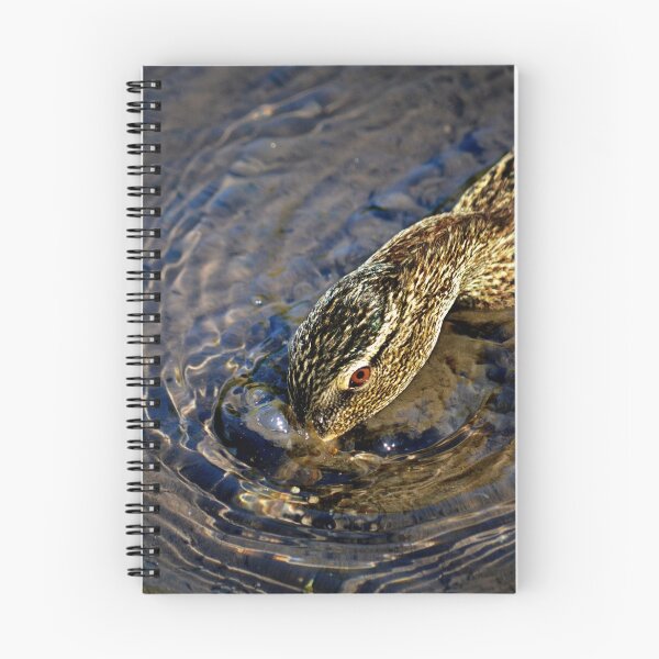 Item preview, Duck Feeding... designed and sold by Laurie Minor.