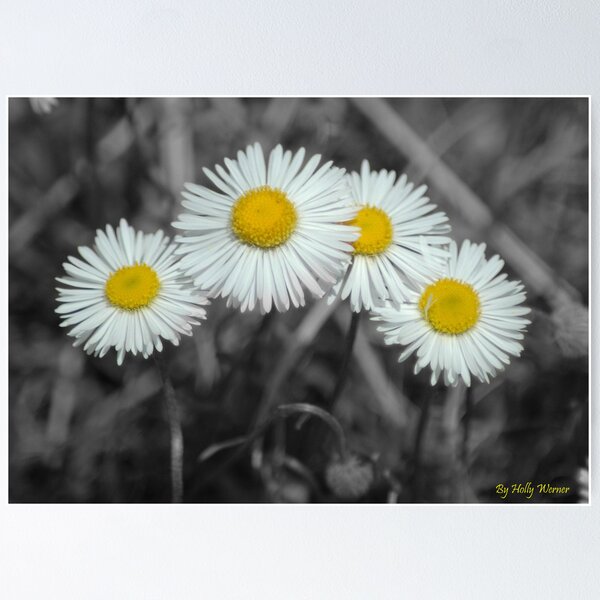 Item preview, Family of Four  designed and sold by Holly Werner.