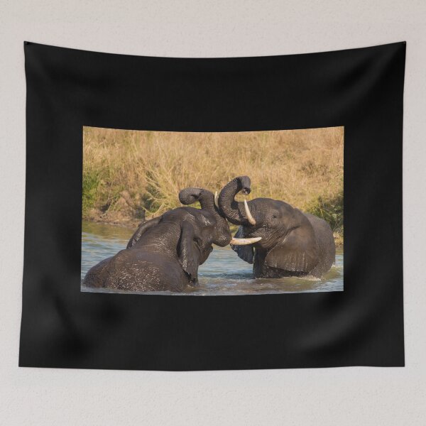 Item preview, Elephants wrestling, South Africa designed and sold by Erik Schlogl.