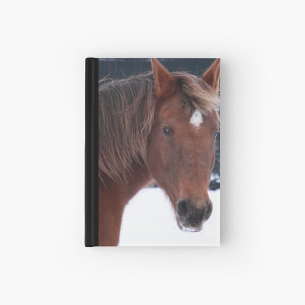 Brandy Hardcover Journal